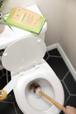 Load image into Gallery viewer, Toilet Bowl Cleaning Sheets: Citrus Case of 6
