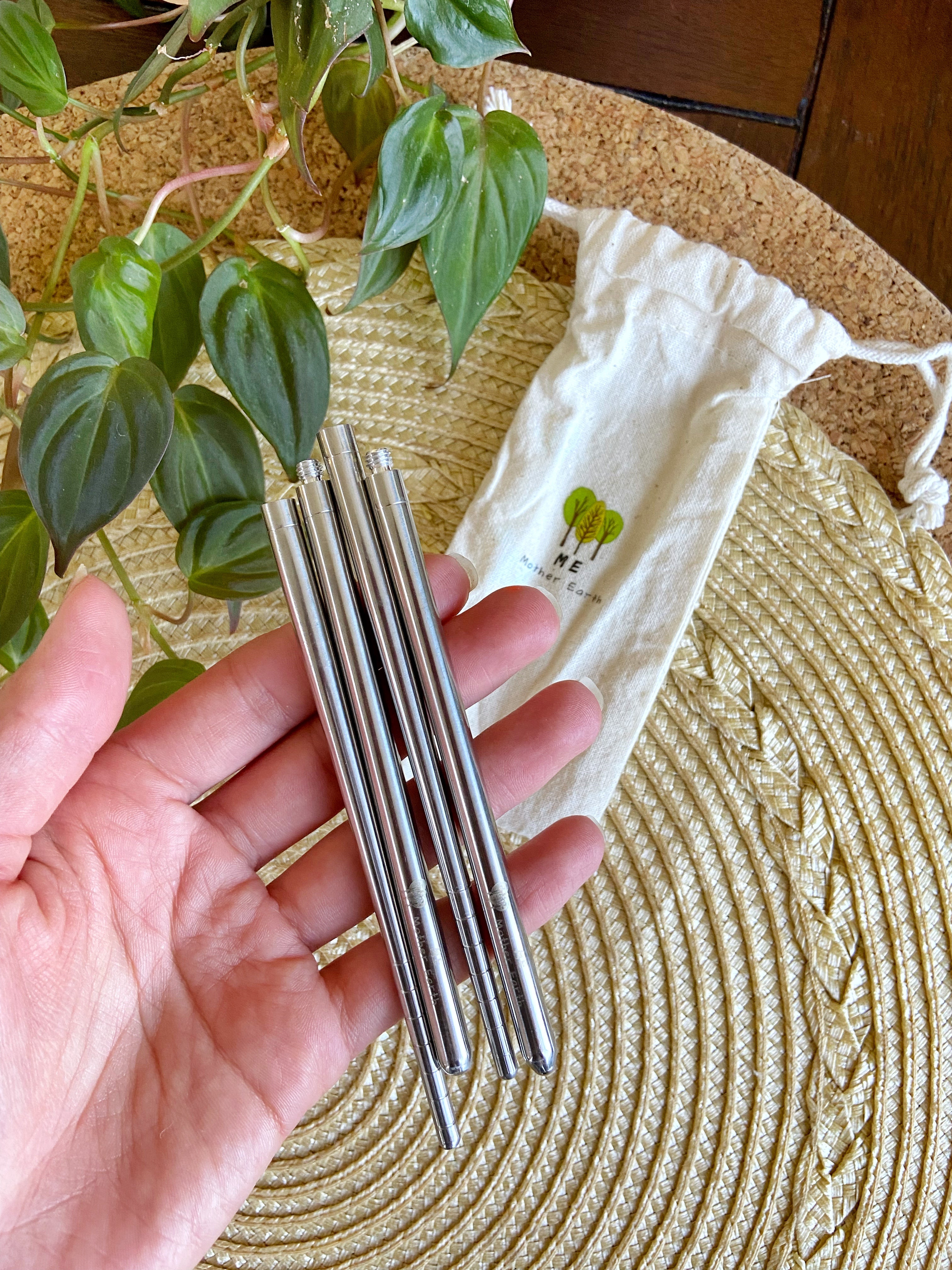 Stainless Steel Travel Chopsticks - Case of 4