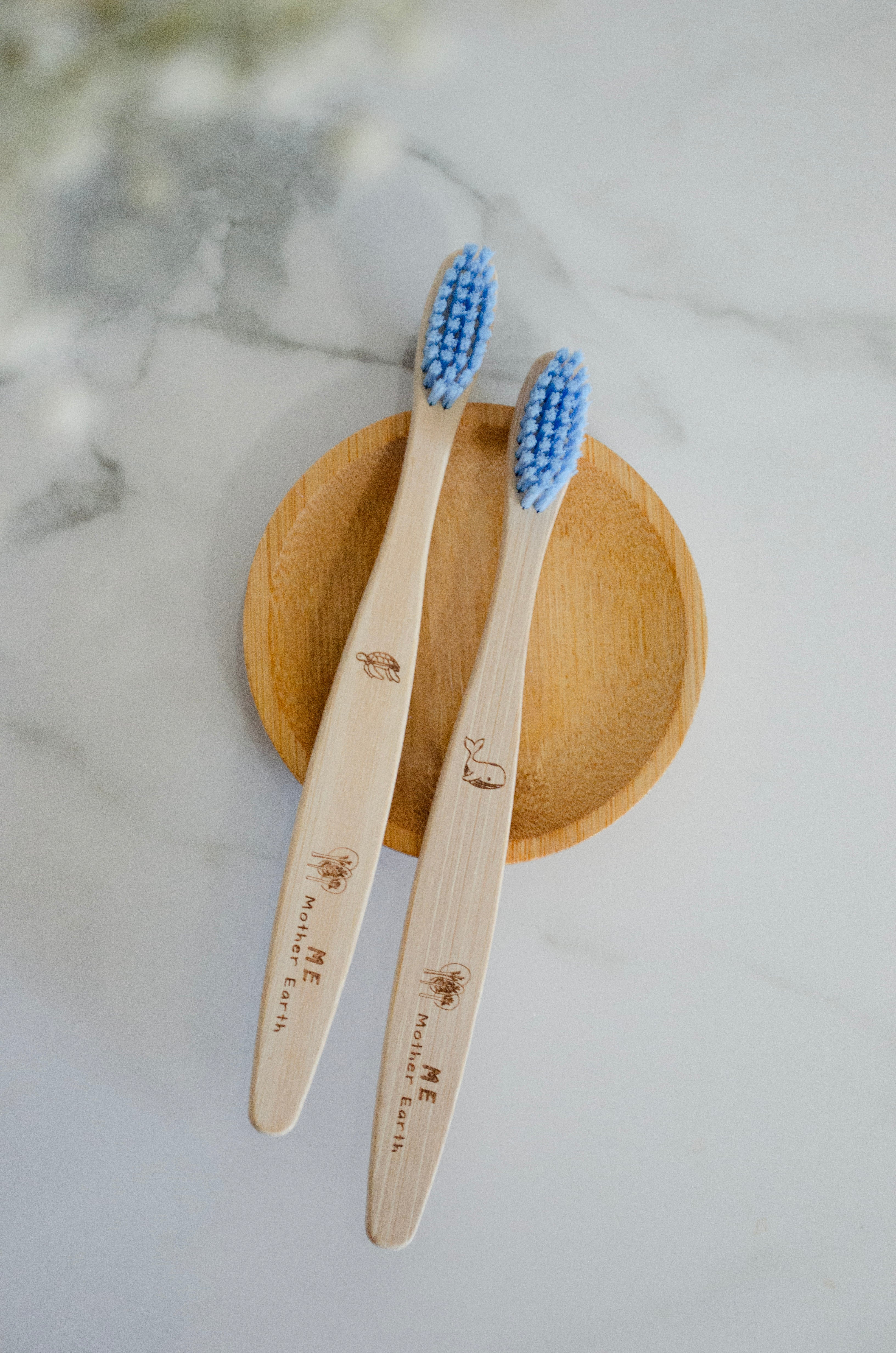 Compostable Bamboo Toothbrushes For KIDS - Case of 6