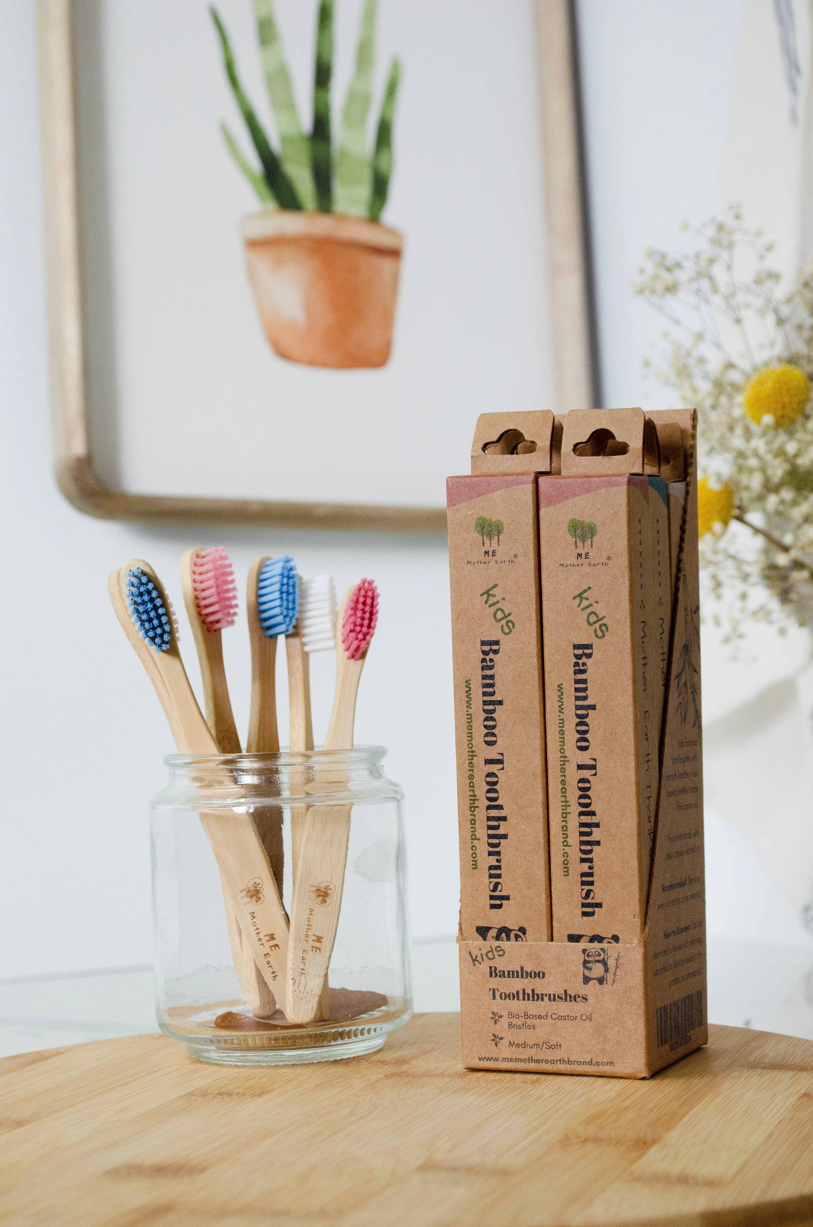 Compostable Bamboo Toothbrushes For KIDS - Case of 6