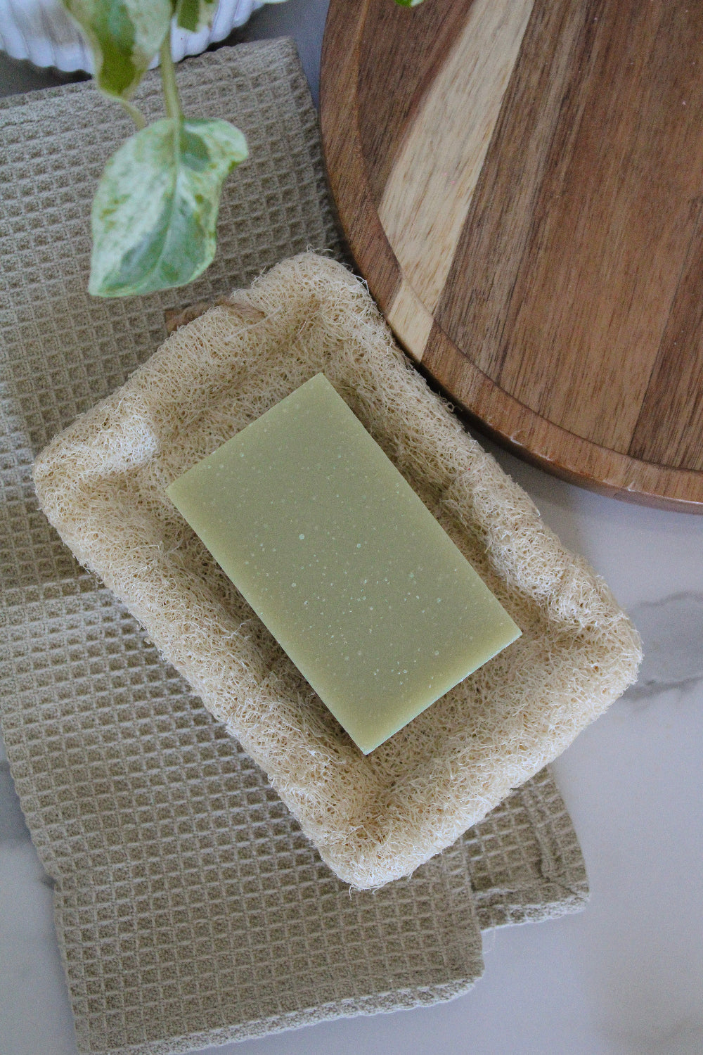 Natural Loofah Soap Dish - Case of 4