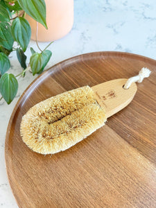 Coconut Scrub Brush with Wood - Case of 4